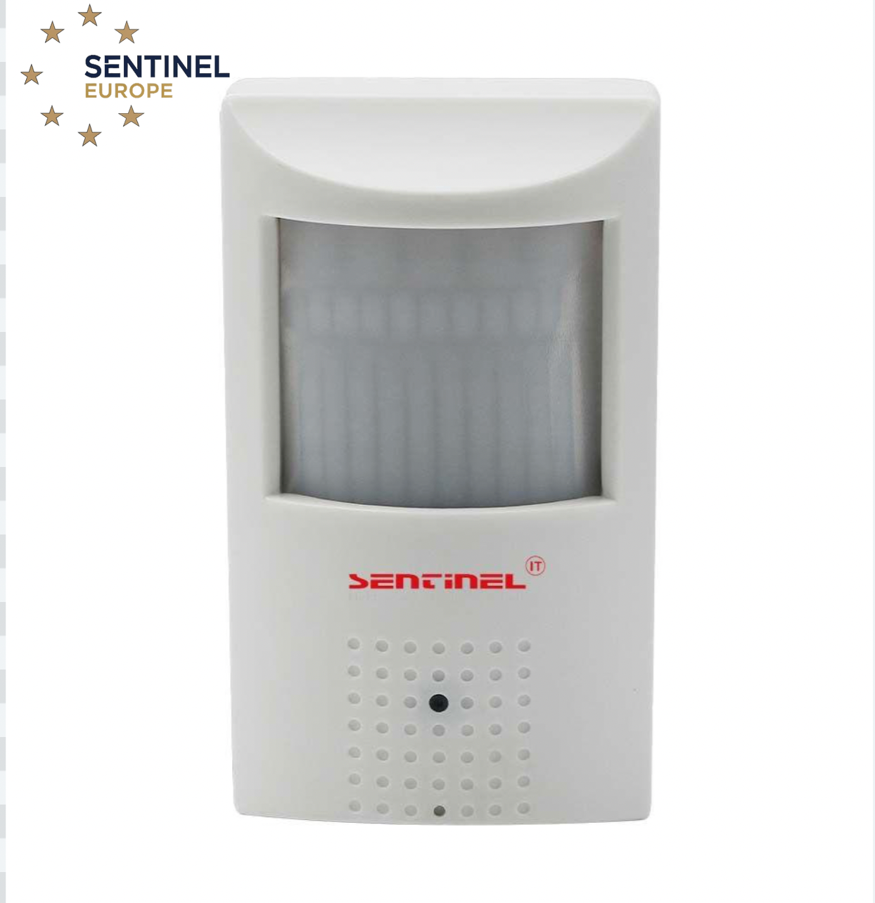 Mini Hidden Camera 4G Type SentinelEurope