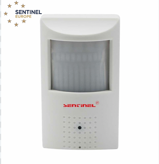 Mini Hidden Camera 4G Type SentinelEurope