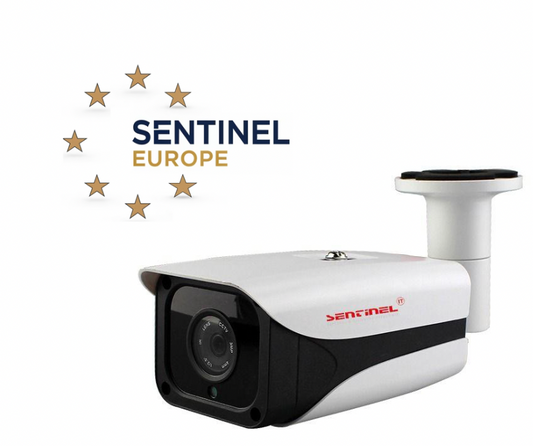 Face Recognition Camera SentinelEurope